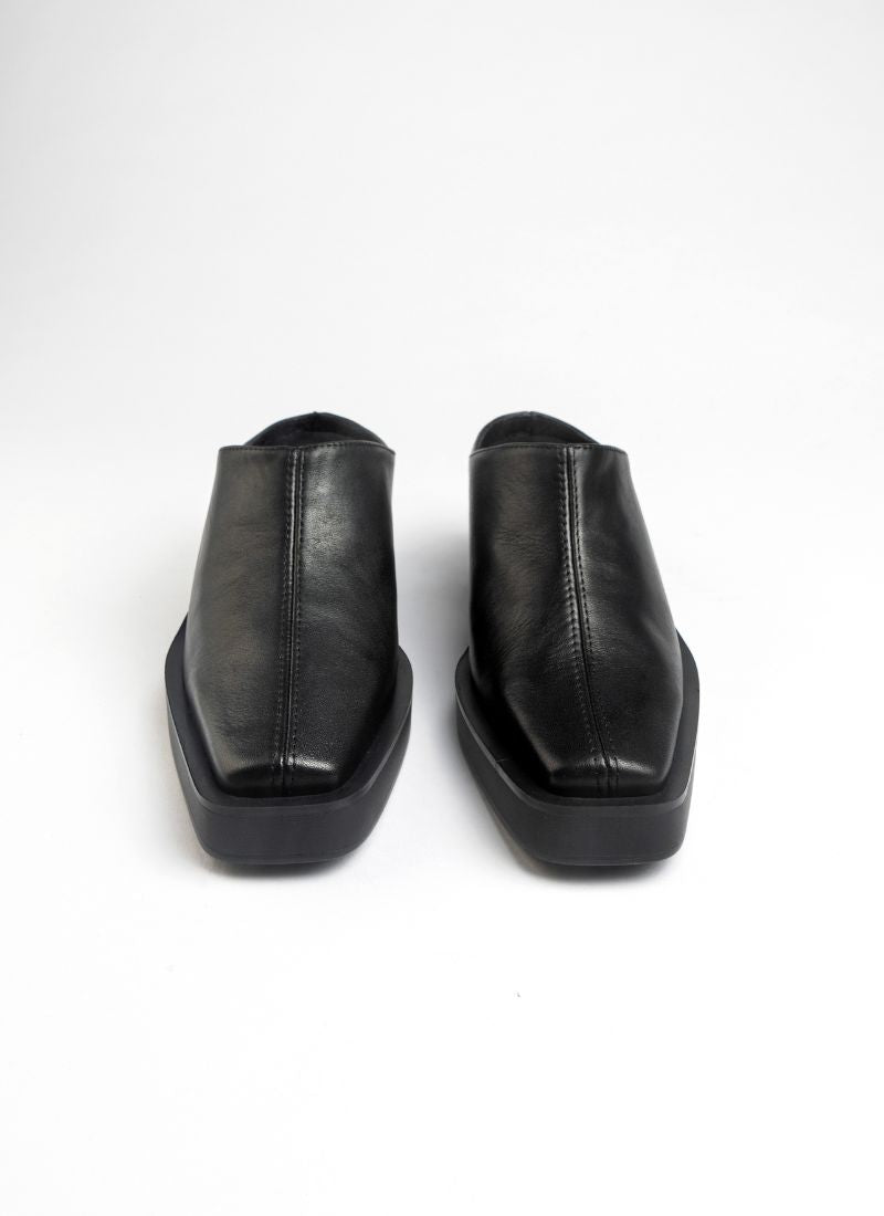 Winona Western Mule